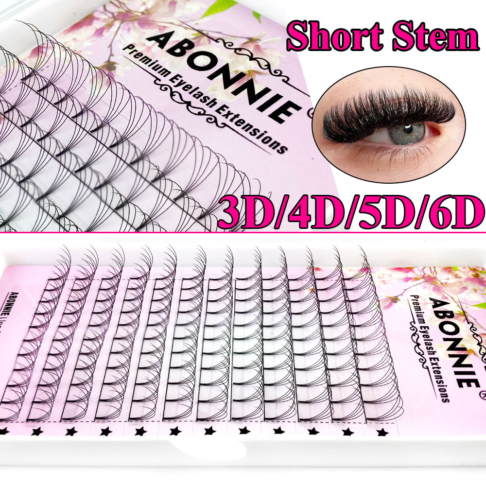 Abonnie 6D Узкие пучки-вентиля – обзор и цена Eyelash Extension Hybrid